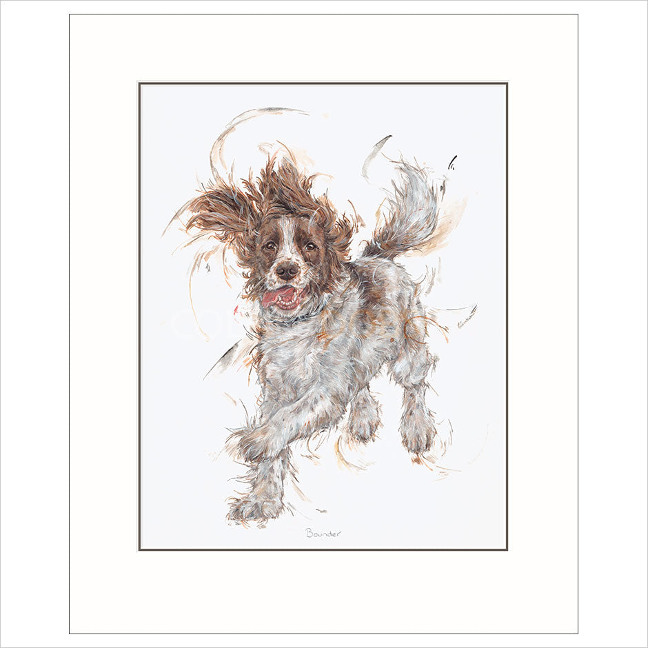 Bounder Mounted Limited Edition print by Aaminah Snowdon