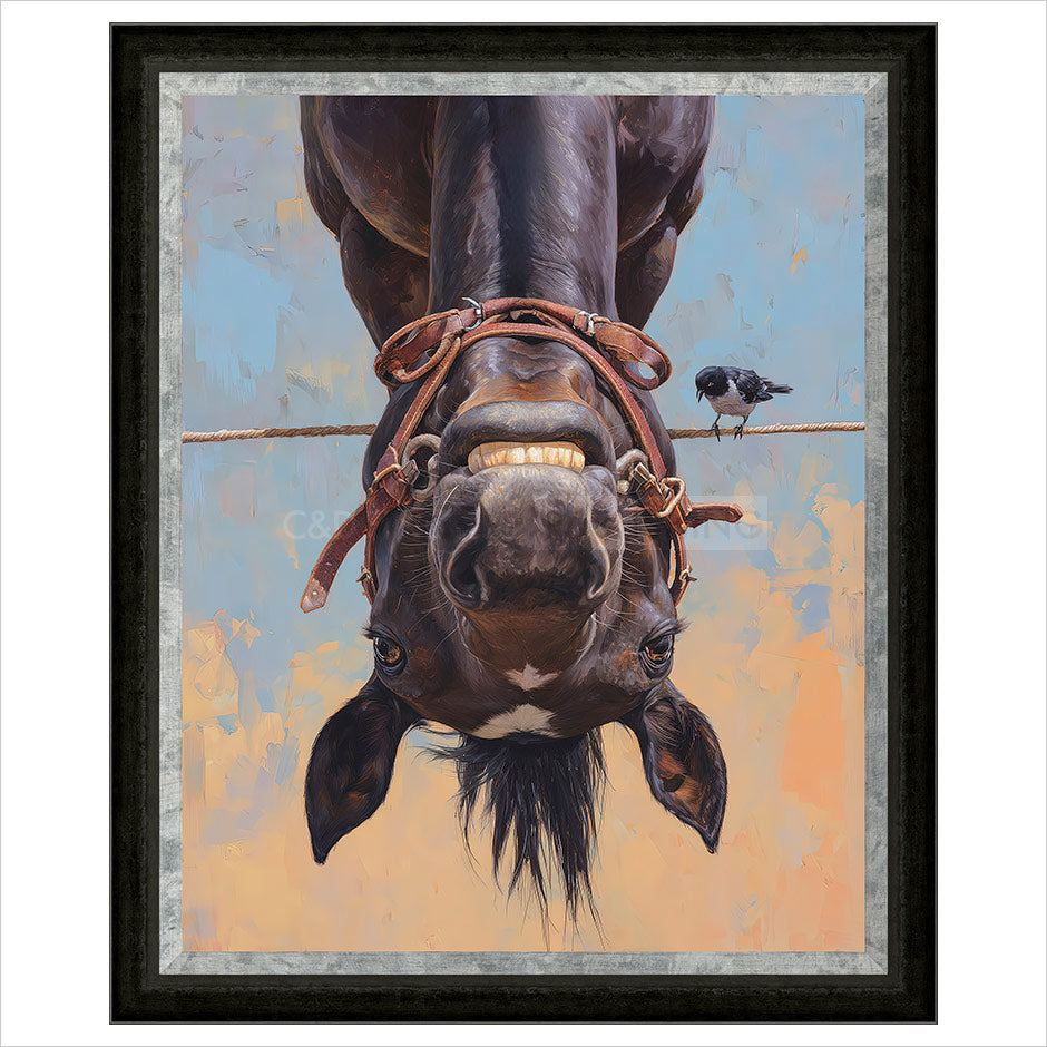 Hung Like a Horse Framed Limited Edition Print by Boid
