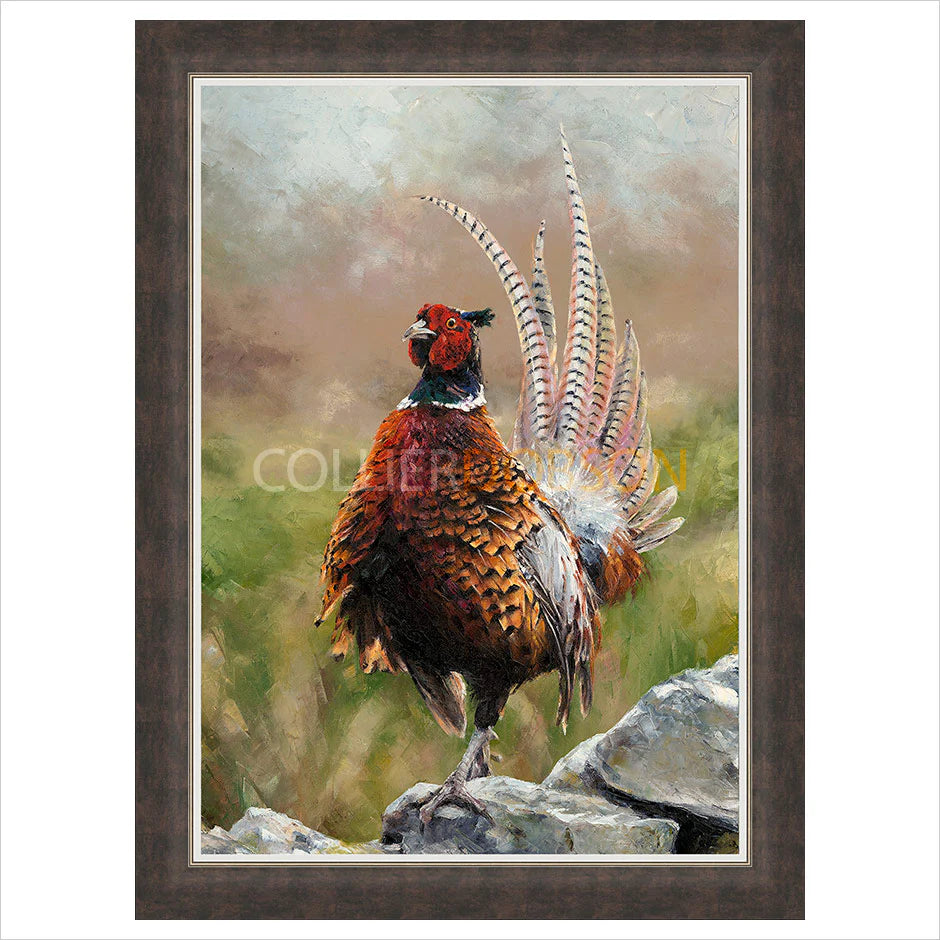 Cock o' the North Framed Artist's Proof print by Anthony Dobson