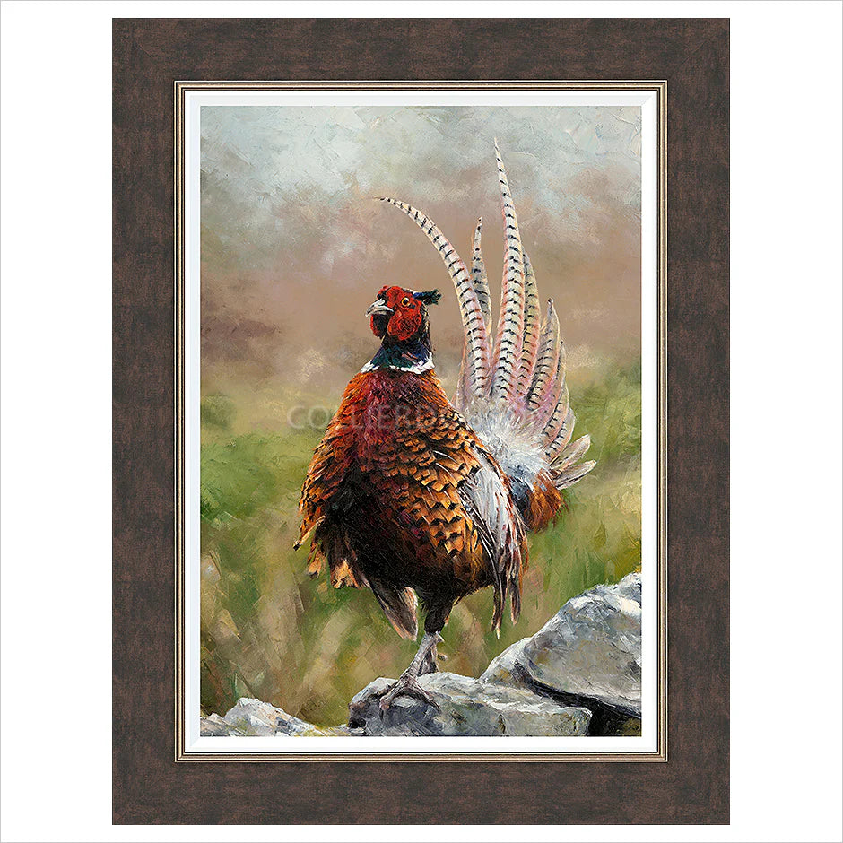 Cock o' the North Framed Limited Edition print by Anthony Dobson