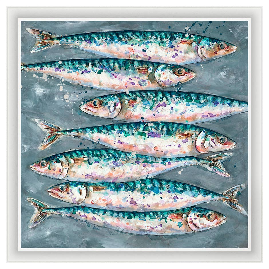 Mackerel Swim Framed Limited Edition Print by Giles Ward