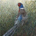 Undercover Limited Edition print by Julia Whitehead