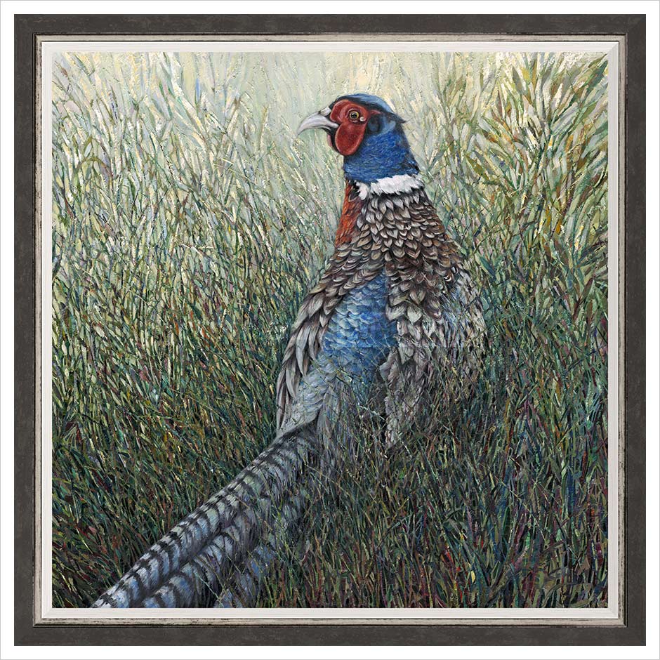 Undercover Framed Limited Edition print by Julia Whitehead