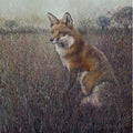 Red Fox Limited Edition print by Julia Whitehead