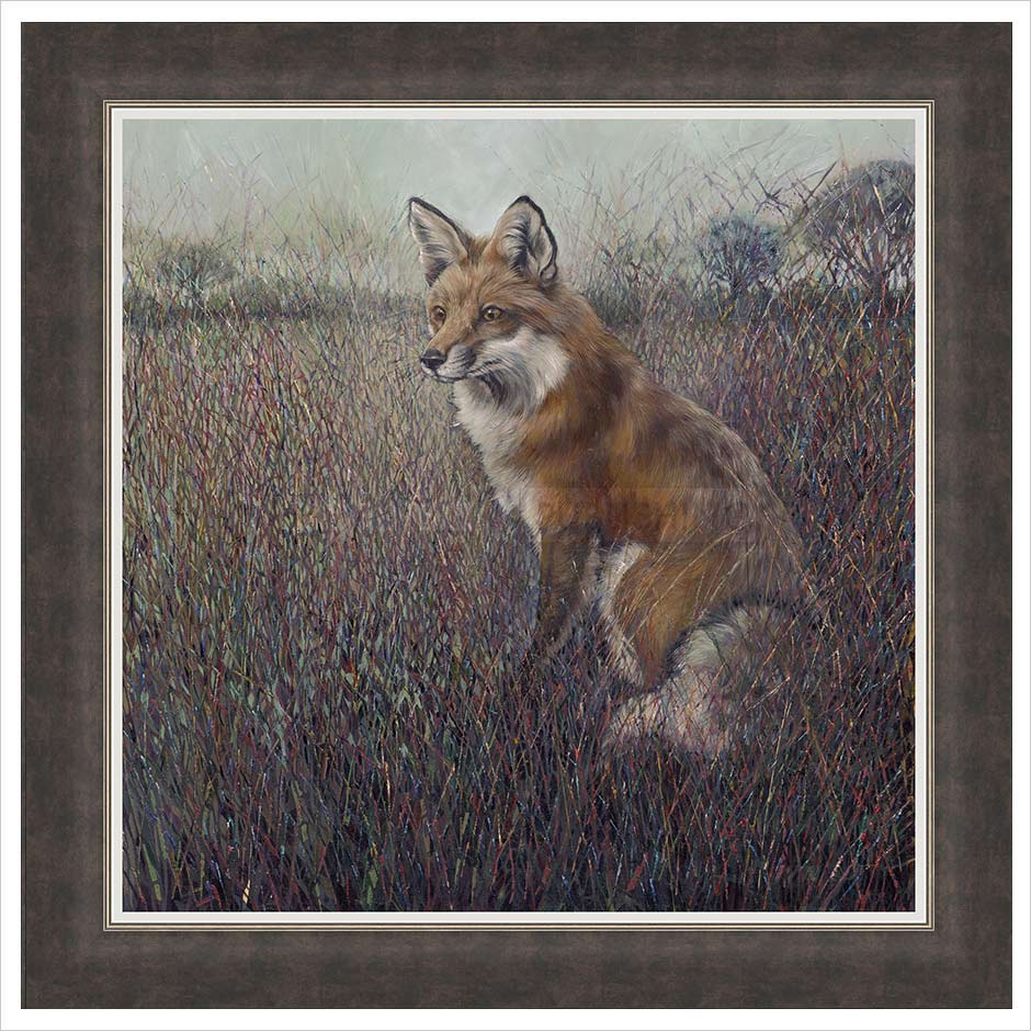 Red Fox Framed Artist's Proof print by Julia Whitehead