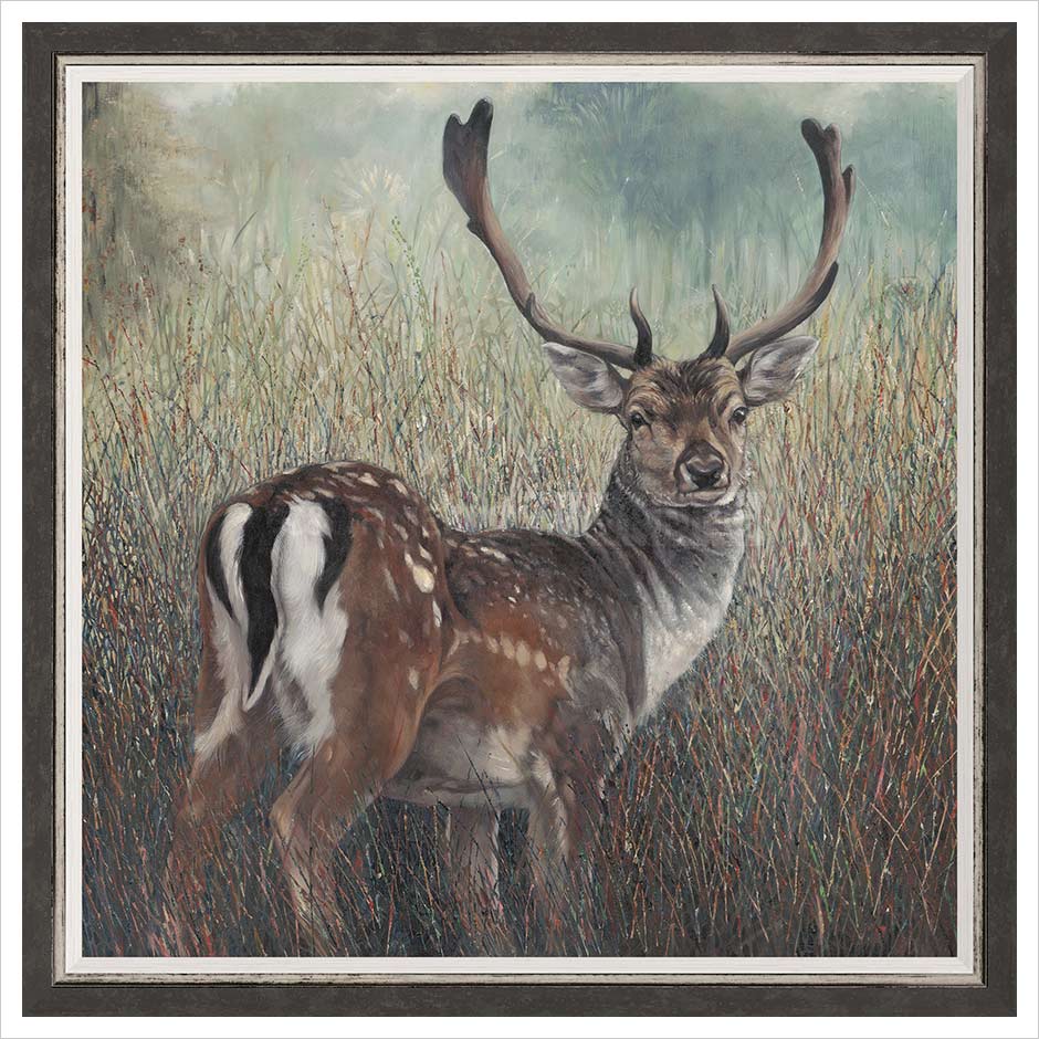 Fallow Deer Framed Limited Edition print by Julia Whitehead