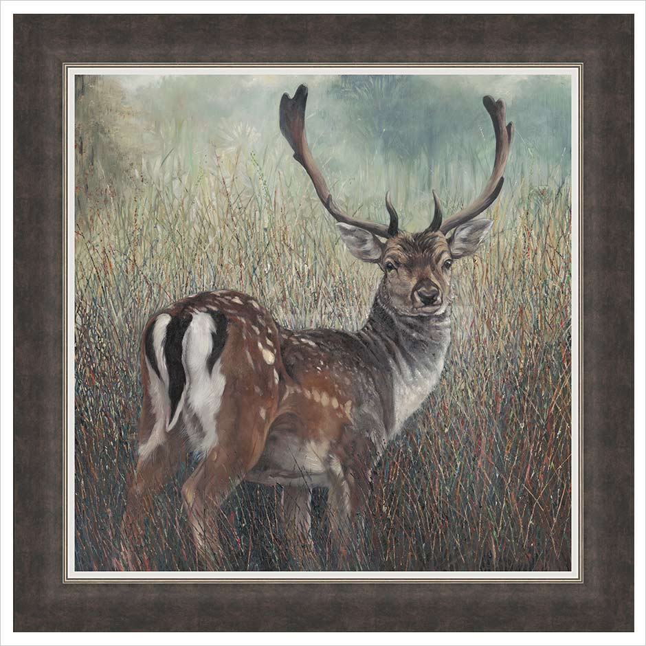 Fallow Deer Framed Artist's proof print by Julia Whitehead