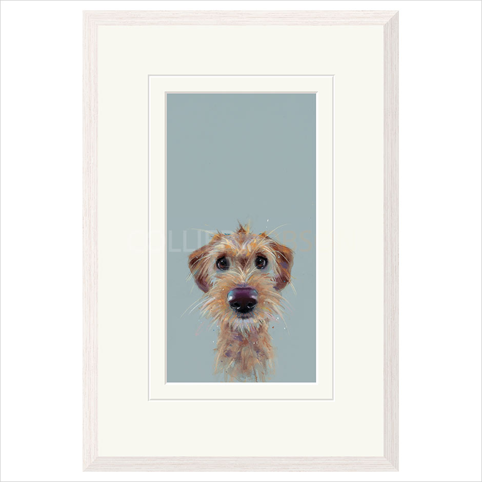 Scruff Framed (option 2) Limited Edition Print by Nicky Litchfield