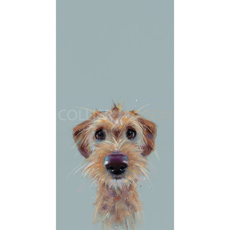 Scruff Limited Edition Print by Nicky Litchfield