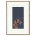 Sausage Framed (option 1) Limited Edition Print by Nicky Litchfield