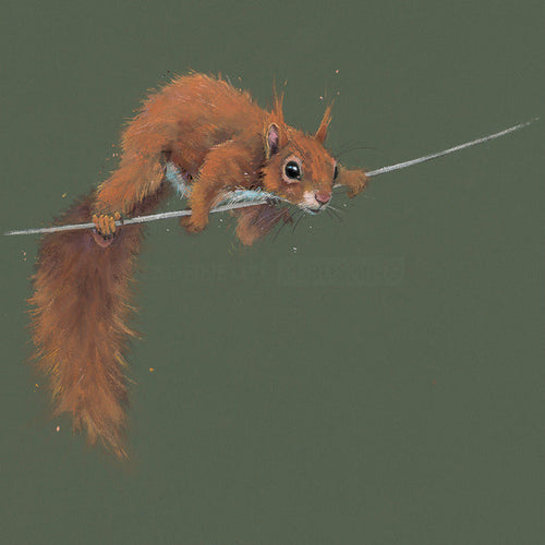 Balancing Act