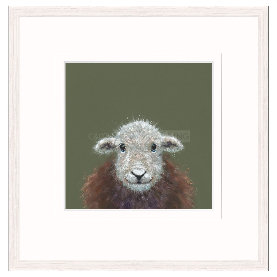 Beatrix Framed (option 2) Limited Edition Print by Nicky Litchfield