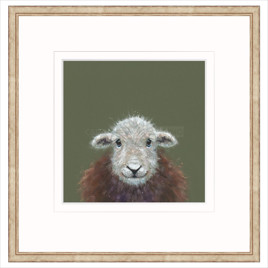 Beatrix Framed (option 1) Limited Edition Print by Nicky Litchfield