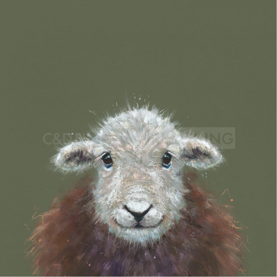 Beatrix Limited Edition Print by Nicky Litchfield