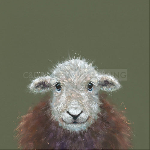 Beatrix Limited Edition Print by Nicky Litchfield