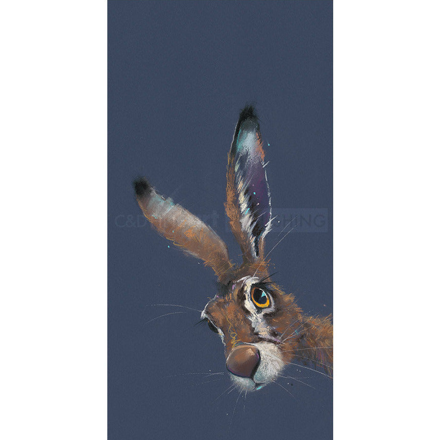 Spellbound by Nicky Litchfield