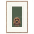 The Look... Framed Option 1 Limited Edition Print by Nicky Litchfield