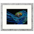 Malachi Framed Limited Edition Print by Sarah Jackson