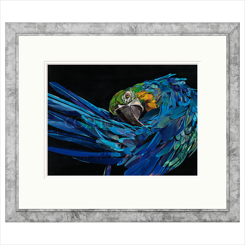 Malachi Framed Limited Edition Print by Sarah Jackson