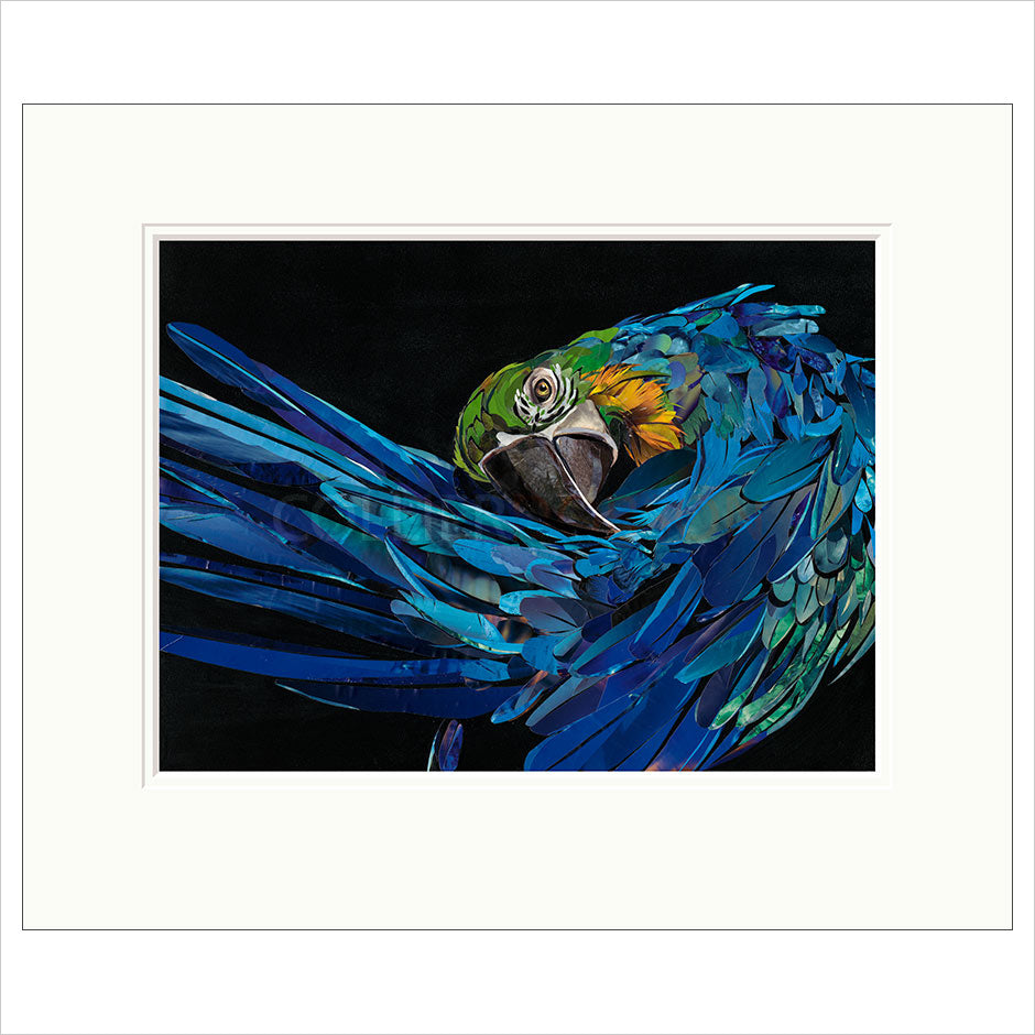 Malachi Mounted Limited Edition Print by Sarah Jackson
