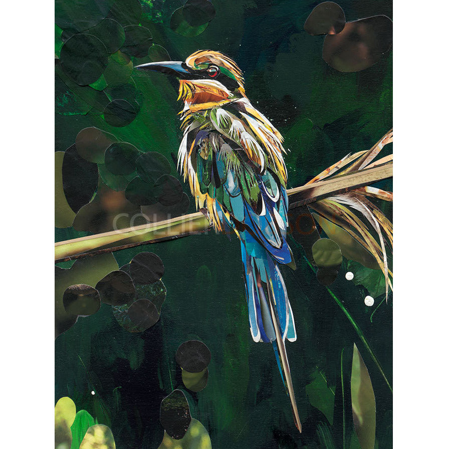 Paradise Limited Edition print by Sarah Jackson