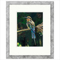 Paradise Framed Limited Edition print by Sarah Jackson
