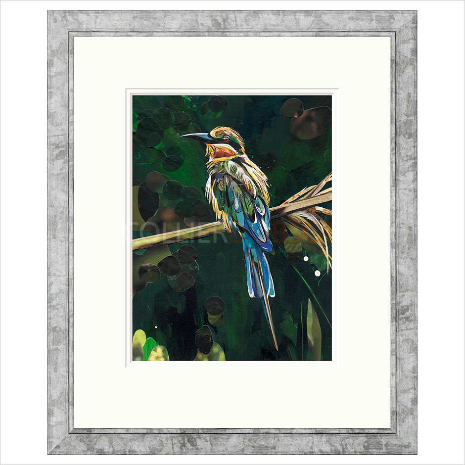 Paradise Framed Limited Edition print by Sarah Jackson