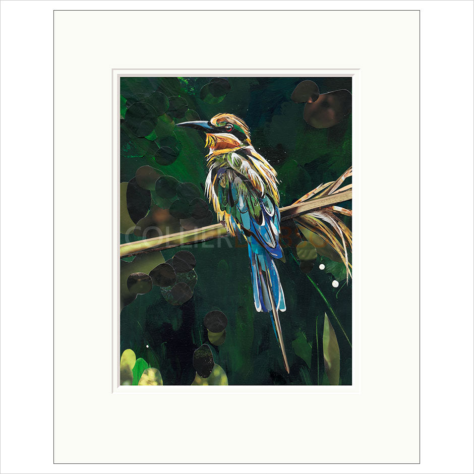 Paradise Mounted Limited Edition print by Sarah Jackson