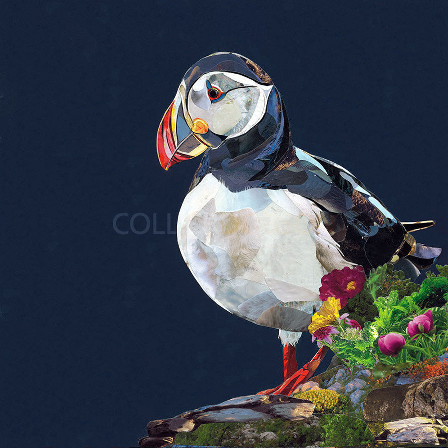 Lundy Limited Edition Print by Sarah Jackson