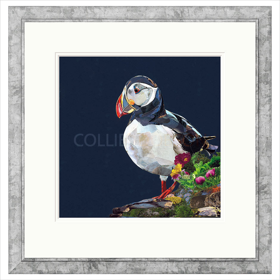 Lundy Framed Limited Edition Print by Sarah Jackson