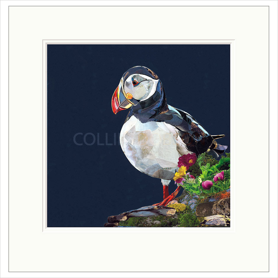 Lundy Mounted Limited Edition Print by Sarah Jackson