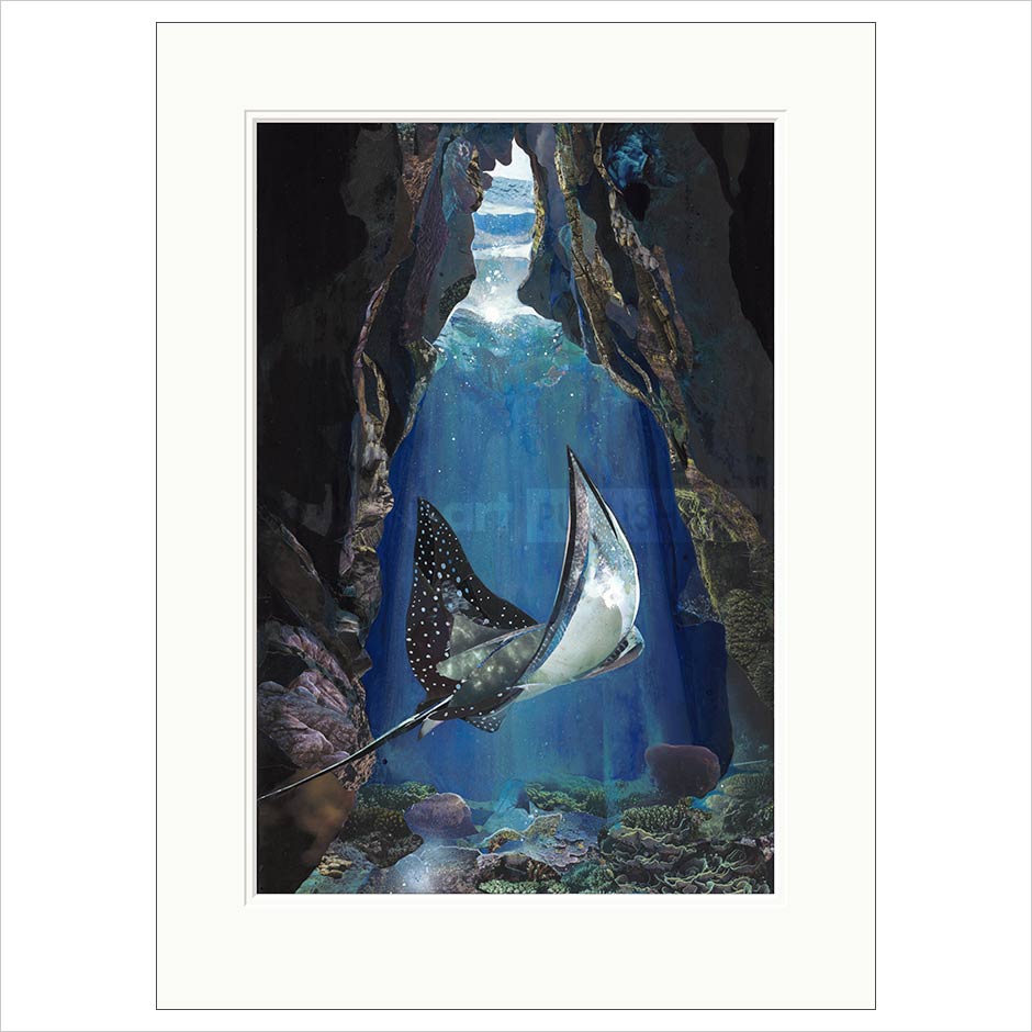 Utopia Mounted Limited Edition Print by Sarah Jackson