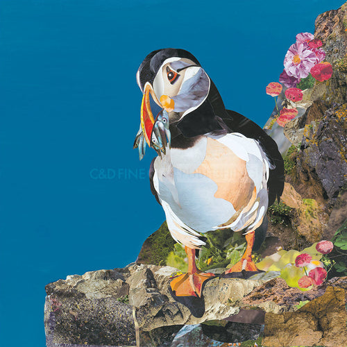 Catch of the Day Limited Edition Print by Sarah Jackson
