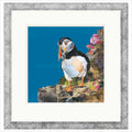 Catch of the Day Framed Limited Edition Print by Sarah Jackson