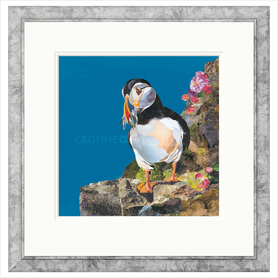 Catch of the Day Framed Limited Edition Print by Sarah Jackson