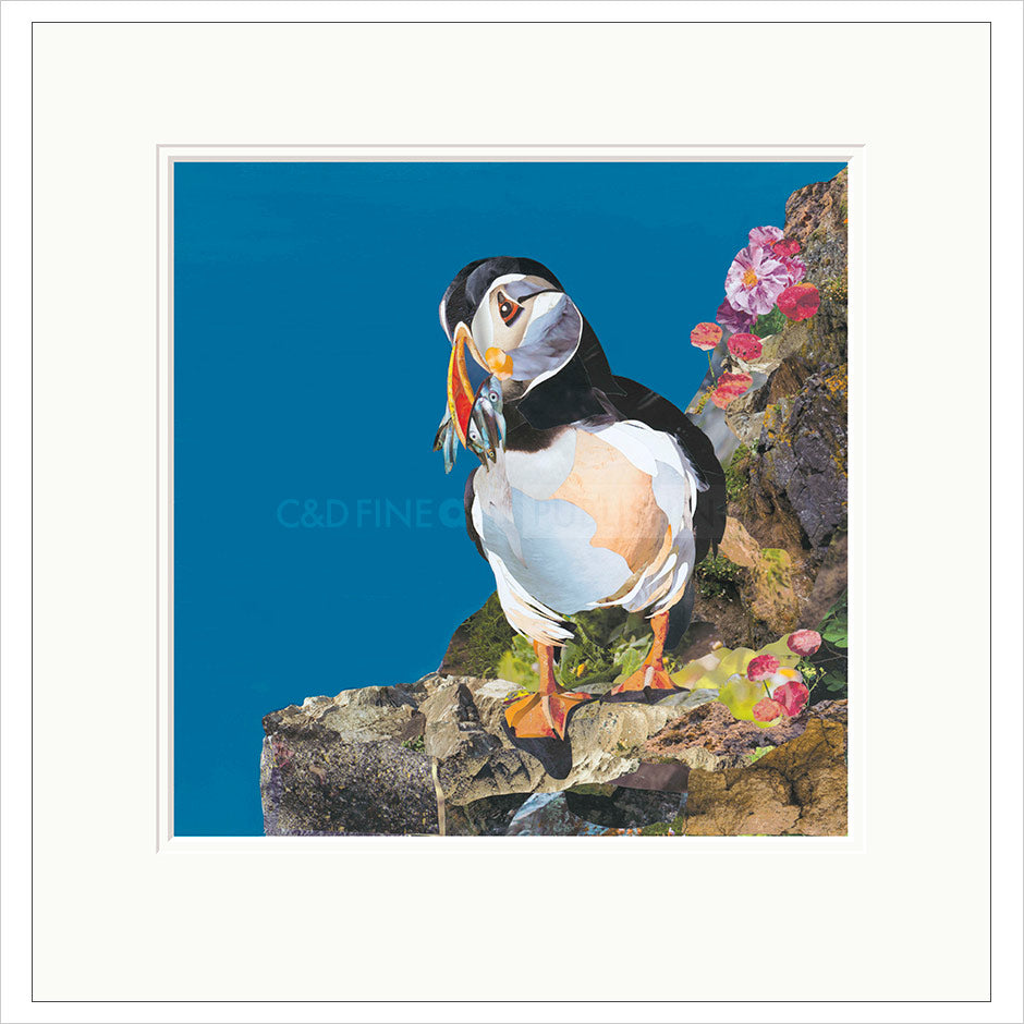 Catch of the Day Mounted Limited Edition Print by Sarah Jackson
