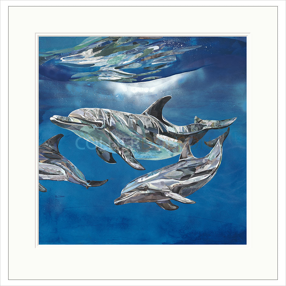 The Pod Mounted Limited Edition Print by Sarah Jackson