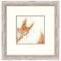 Ginger Nut Framed Limited Edition print by Aaminah Snowdon