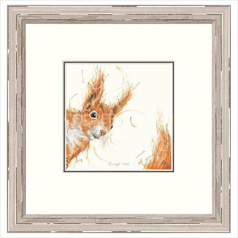 Ginger Nut Framed Limited Edition print by Aaminah Snowdon