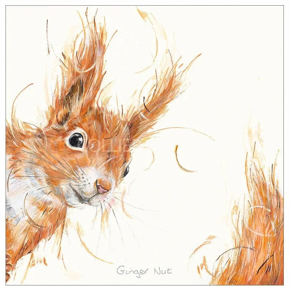Ginger Nut Limited Edition print by Aaminah Snowdon