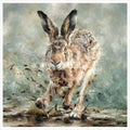 Splosh Artist's Proof Print by Anthony Dobson