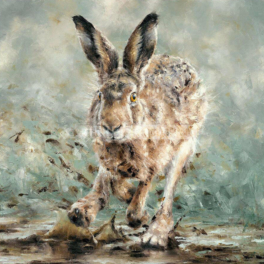 Splosh Framed Limited Edition Print by Anthony Dobson