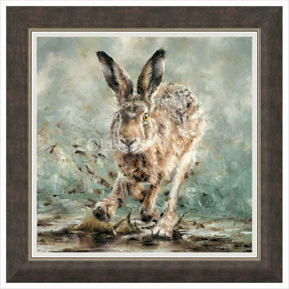 Splosh Framed Limited Edition Print by Anthony Dobson