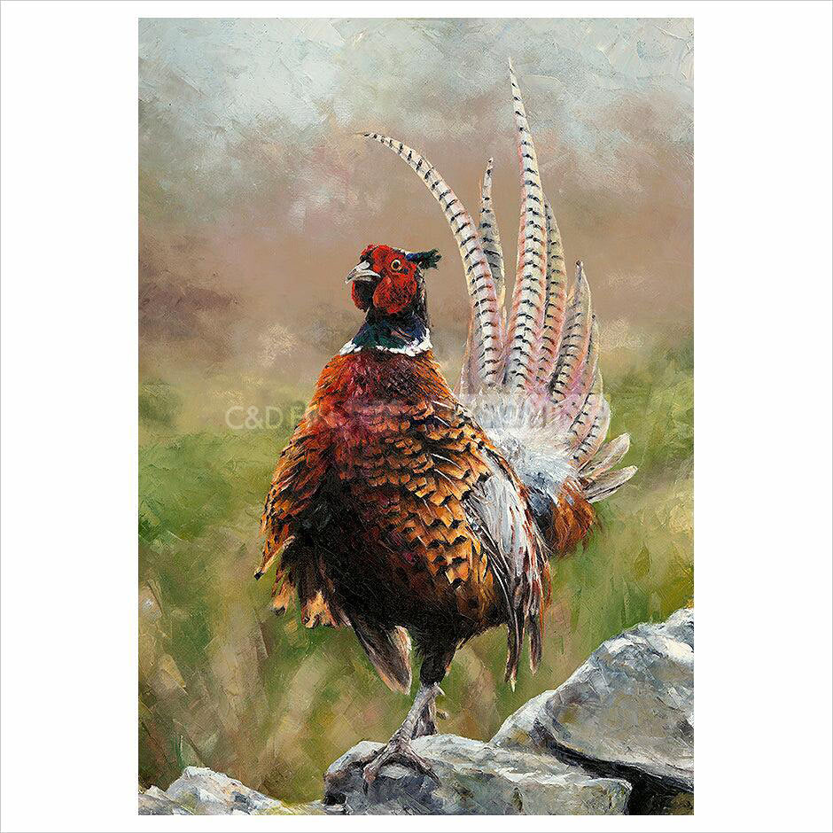Cock o' the North Artist's Proof print by Anthony Dobson