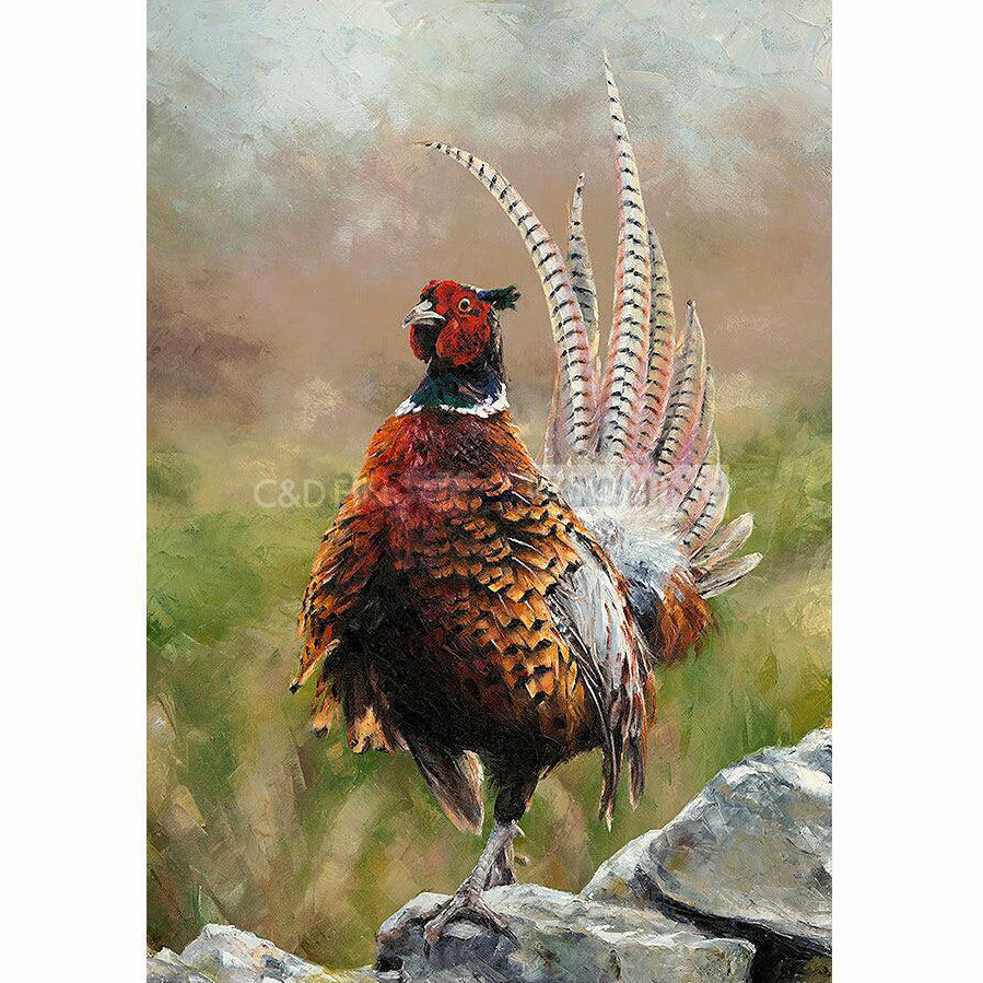 Cock o' the North Limited Edition print by Anthony Dobson