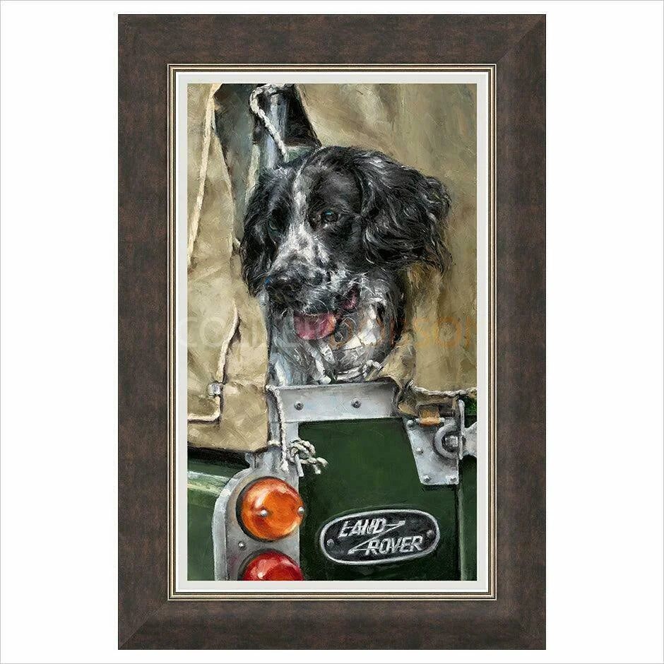 Happy As... Framed Print by Anthony Dobson