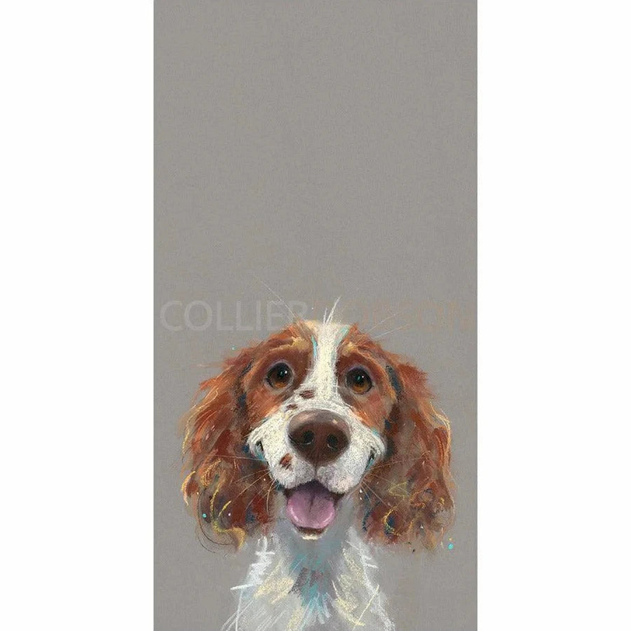 Happy Go Lucky Limited Edition Print by Nicky Litchfield