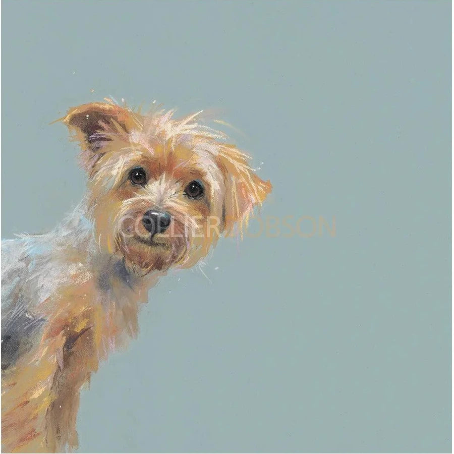 Yorkie Limited Edition Print by Nicky Litchfield